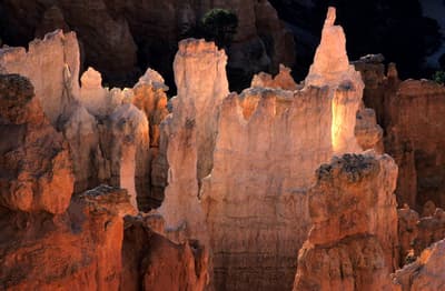 Hoodoos in Bryce Canyon