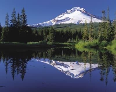 Mount Hood from Mirror Lake