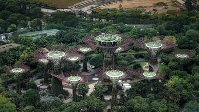 Supertree Grove, Singapore